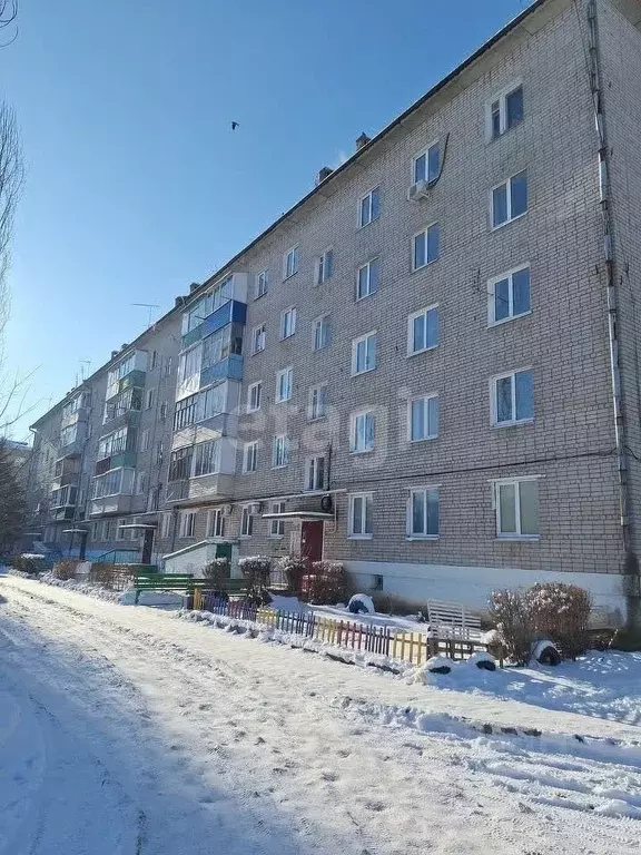 2-к кв. Воронежская область, Семилуки ул. Чапаева, 60 (44.6 м) - Фото 1