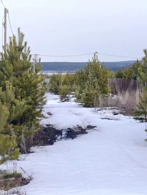 Участок в село Кадниково, территория Солнечная поляна (10.21 м) - Фото 2