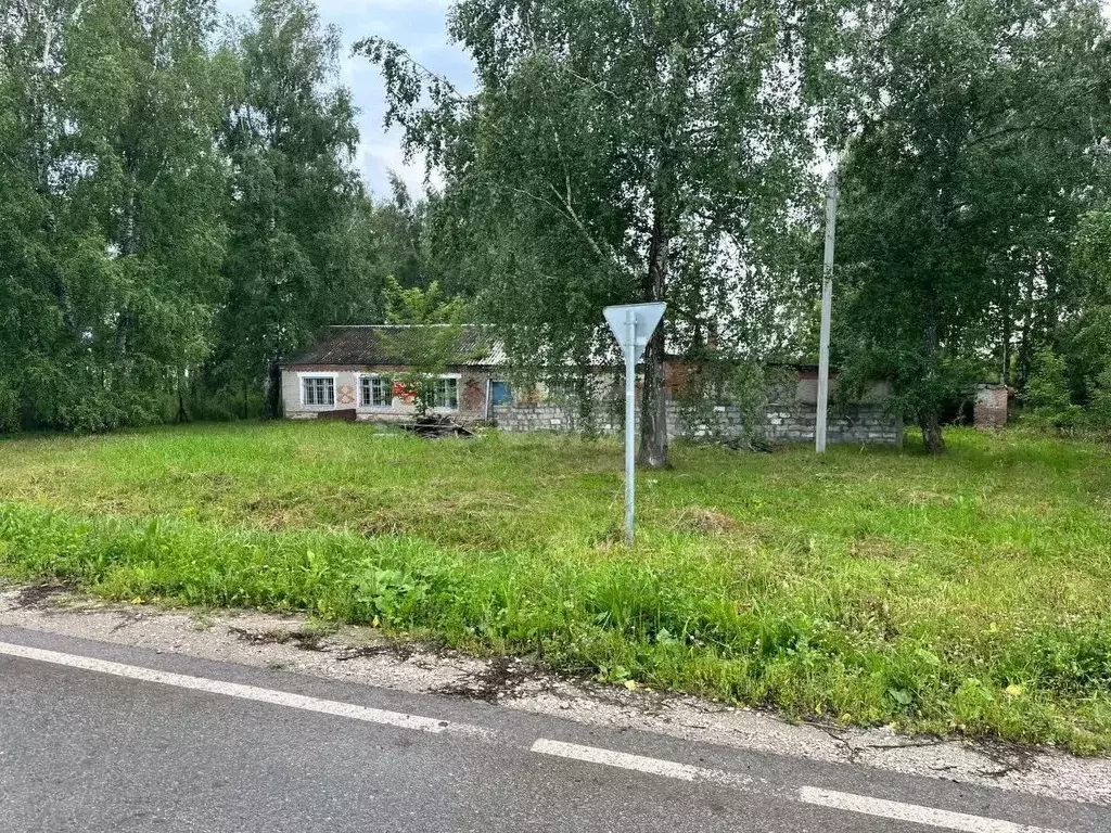 Помещение свободного назначения в Новосибирская область, Искитимский ... - Фото 0