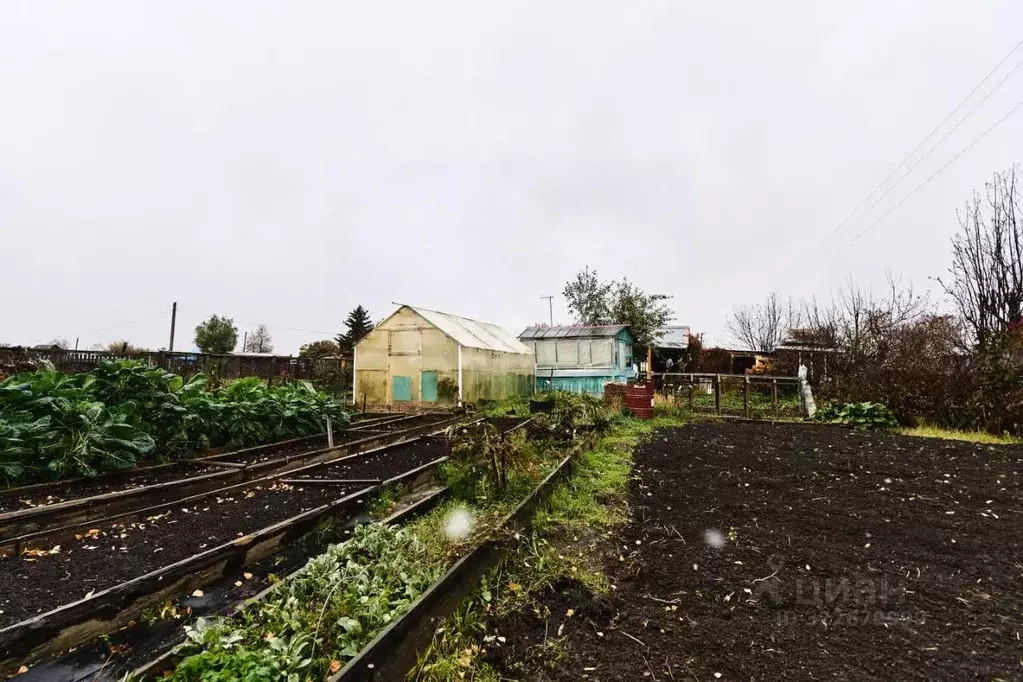 Дом в Томская область, Томск пос. Светлый, Рябинка садовое ... - Фото 1
