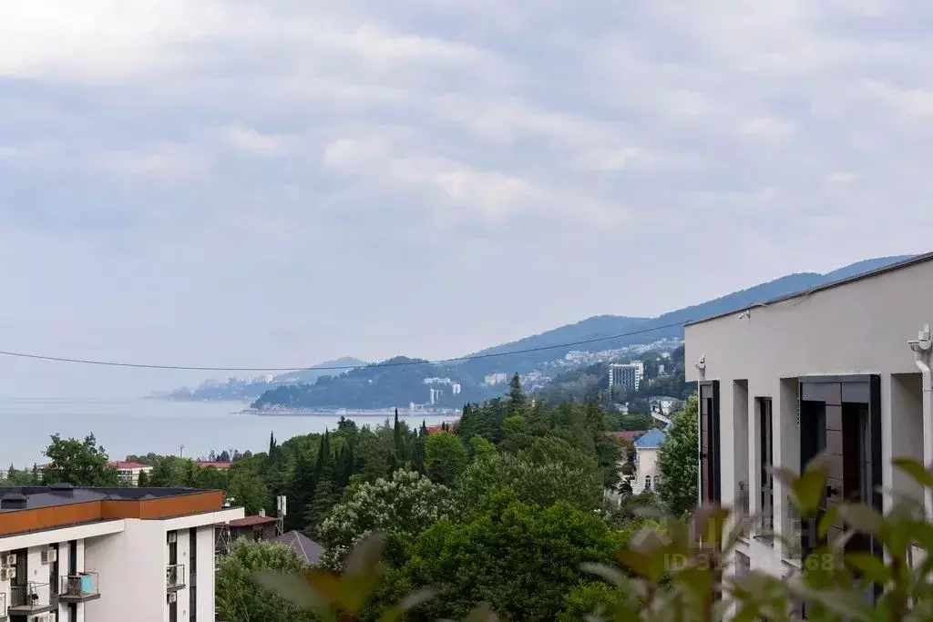 1-к кв. Краснодарский край, Сочи ул. Ленина, 298В/3 (26.0 м) - Фото 0