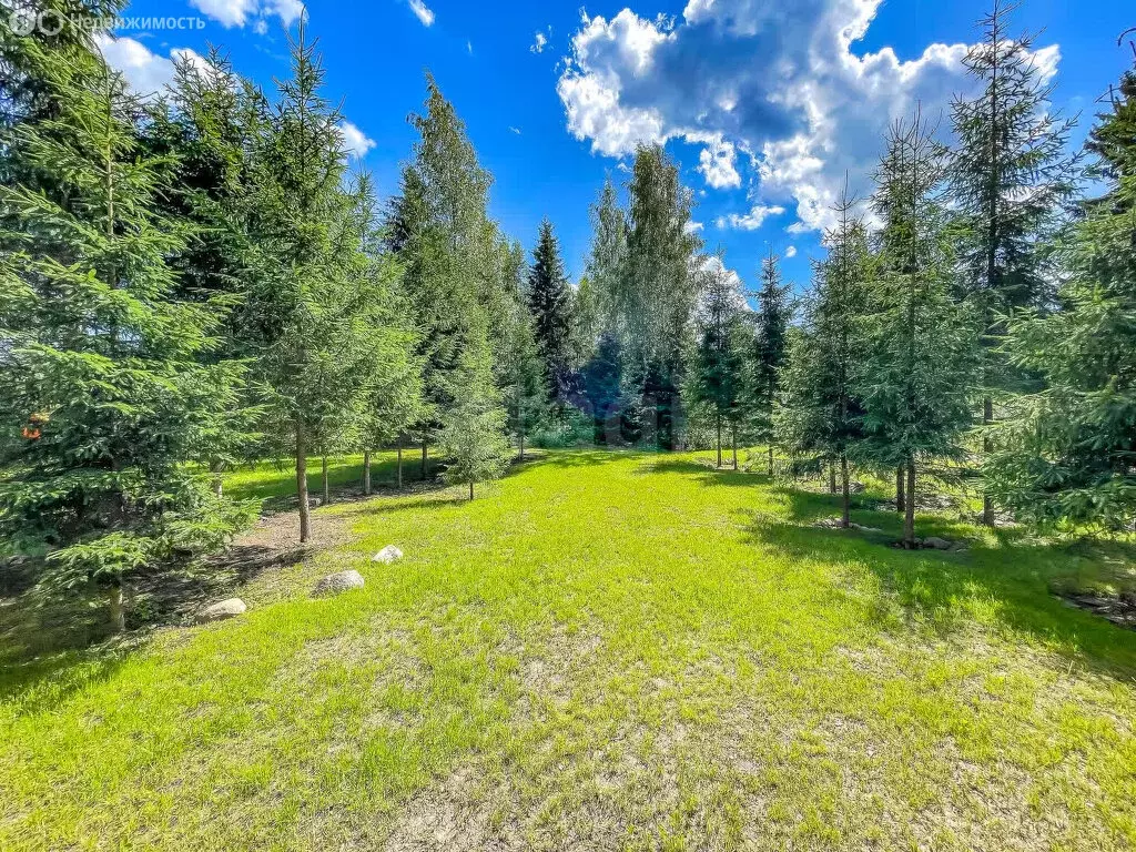 Участок в Ломоносовский район, Кипенское сельское поселение, деревня ... - Фото 2