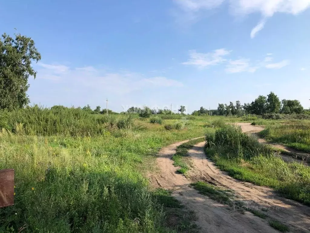 Участок в Новосибирская область, Коченево рп ул. Заводская (12.1 сот.) - Фото 1