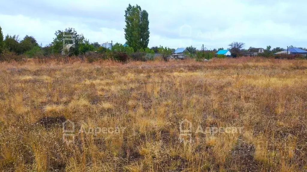 Участок в Волгоградская область, Волгоград ул. Можжевеловая (6.66 ... - Фото 2