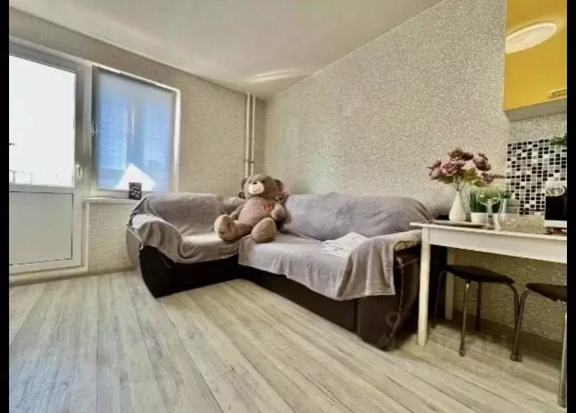 Студия Краснодарский край, Анапа ул. Ленина, 235 (30.0 м) - Фото 2