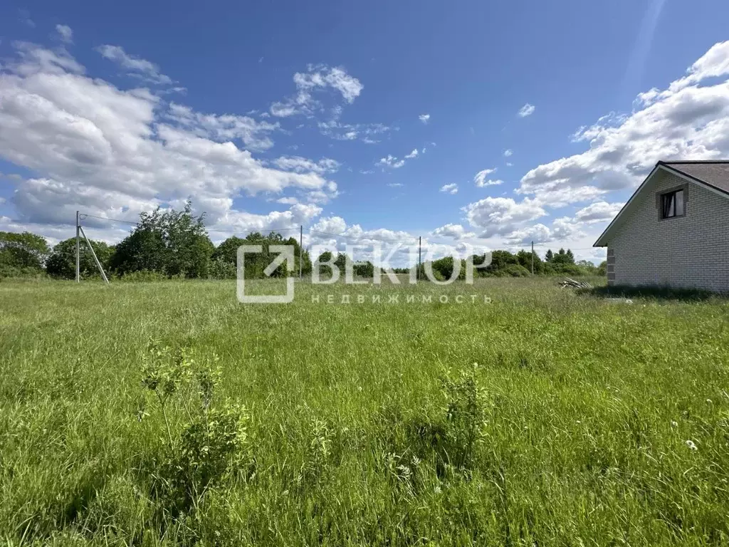 Участок в Костромская область, Кострома проезд Вохомский (7.8 сот.) - Фото 2