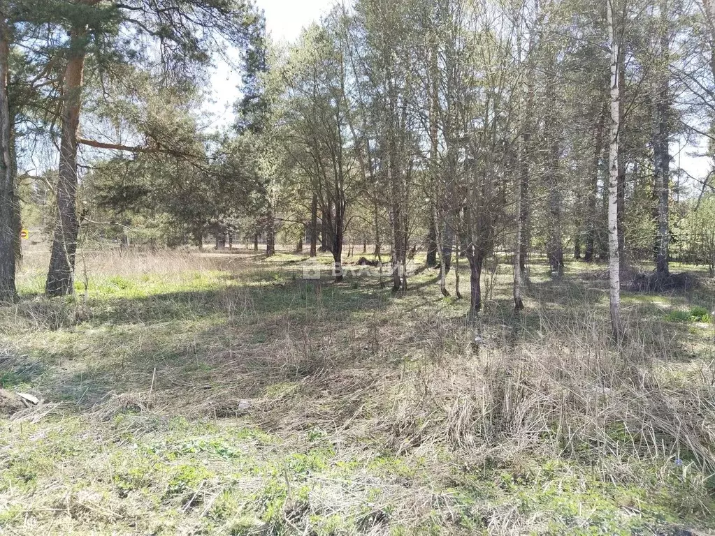 Участок в Ивановская область, Иваново пер. Крылова (10.0 сот.) - Фото 2