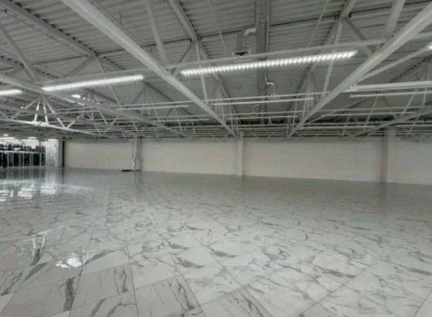 Торговая площадь в Санкт-Петербург Дунайский просп., 27к1 (600 м) - Фото 2