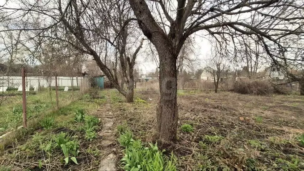Участок в Воронежская область, Воронеж Объединение СНТ, ул. 2-я ... - Фото 1
