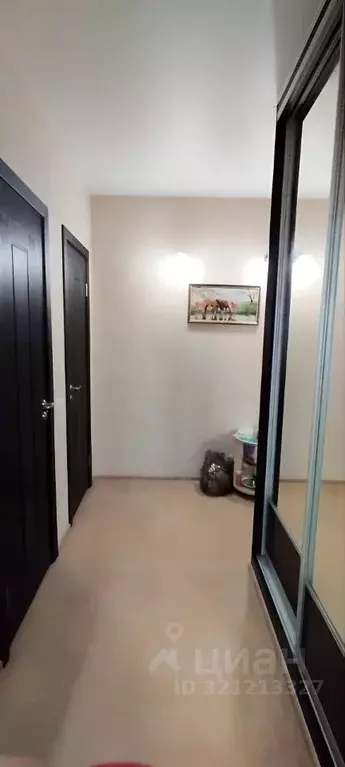 1-к кв. Ивановская область, Ивановский район, Подвязновское с/пос, с. ... - Фото 2