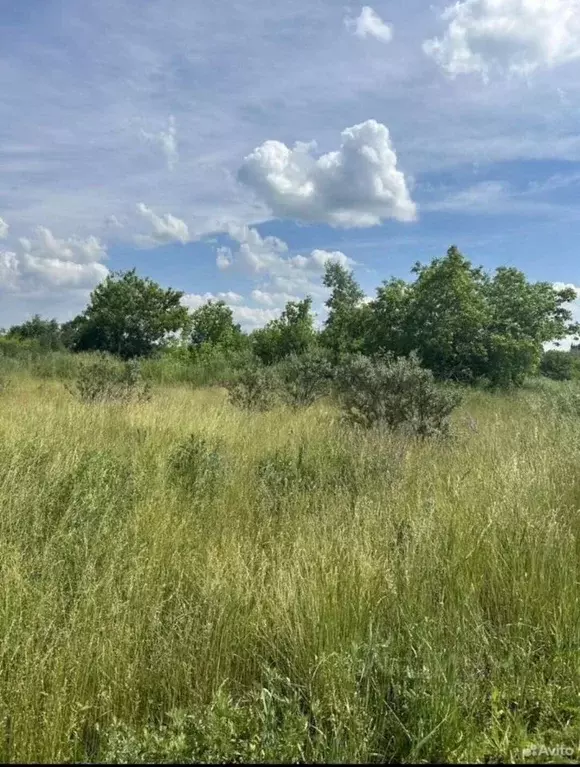 Участок в Челябинская область, Копейск ул. Синеглазовская (10.0 сот.) - Фото 1