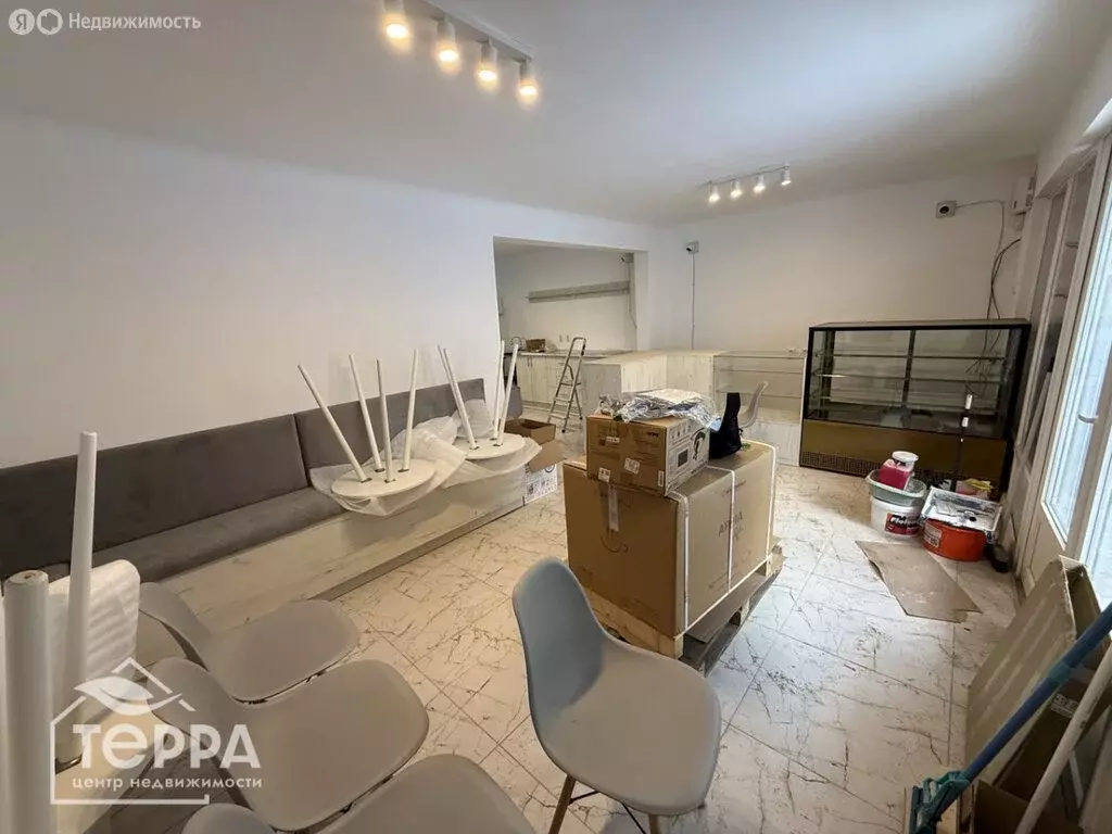 Помещение свободного назначения (43.7 м) - Фото 1