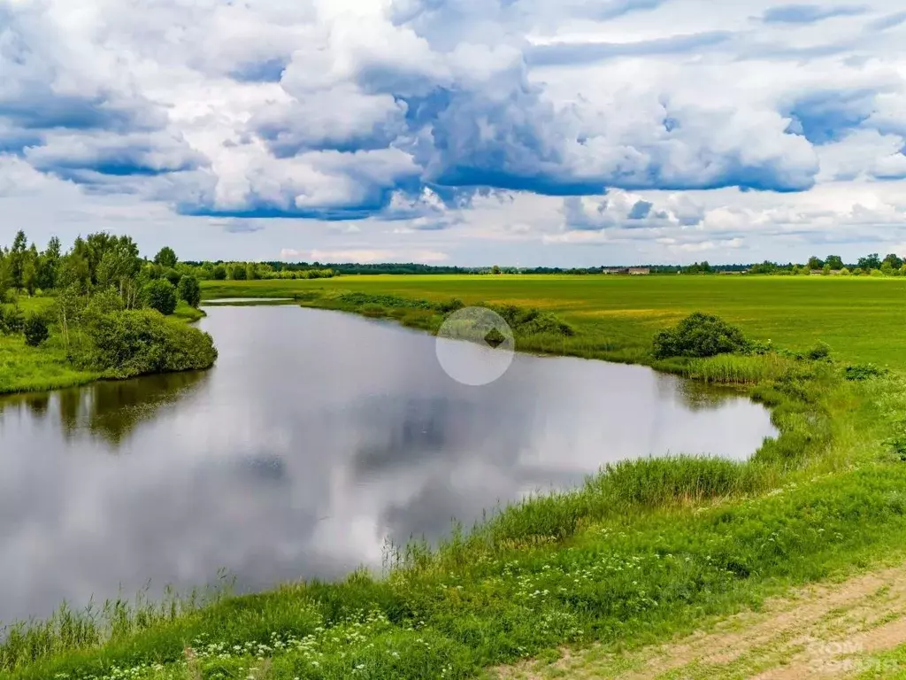 Участок в Ленинградская область, Тосненский район, Любанское городское ... - Фото 1