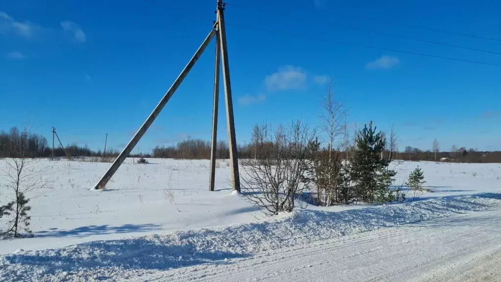 Участок в Новгородская область, с. Мошенское ул. Кировская (557.0 ... - Фото 0