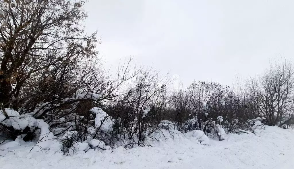 Участок в село Молотицы, Колхозная улица (10 м) - Фото 1
