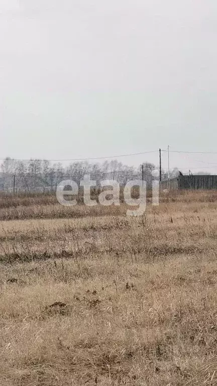 Участок в Красноярский край, Емельяновский район, Частоостровский ... - Фото 0