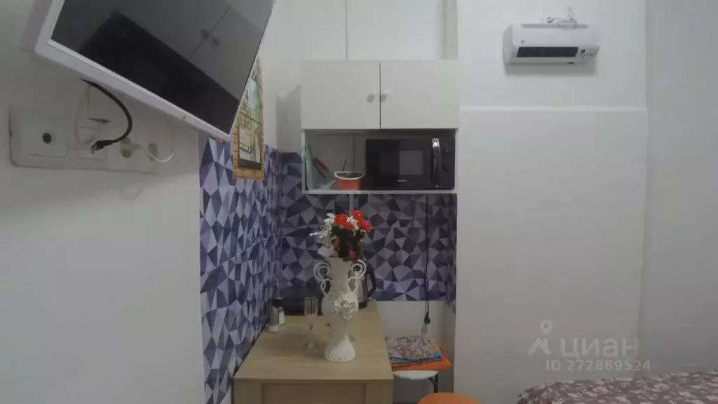 Студия Московская область, Электроугли Богородский городской округ, ... - Фото 2