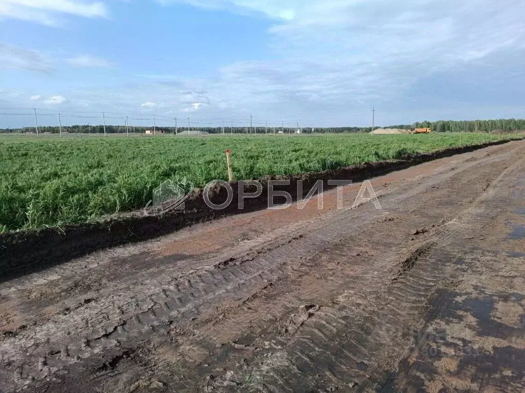 Участок в Тюменская область, Тюменский район, с. Каменка  (6.0 сот.) - Фото 0