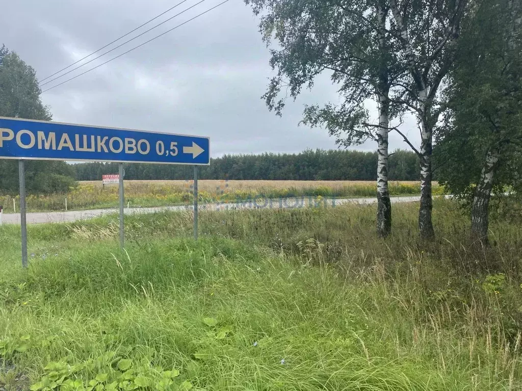 Участок в Нижегородская область, Богородский муниципальный округ, с. ... - Фото 0