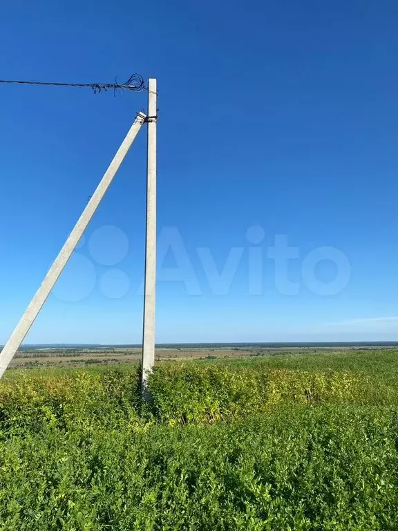 Участок 14,8 сот. (ИЖС) - Фото 0