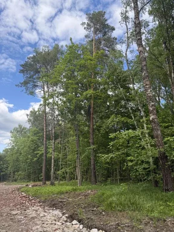 Участок в Московская область, Звенигород Одинцовский городской округ,  ... - Фото 1