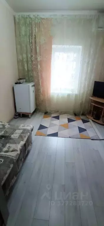 1-к кв. Краснодарский край, Краснодар Центральный мкр, ул. Чапаева, ... - Фото 1