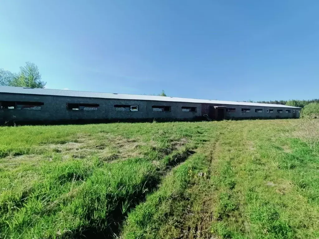 Производственное помещение в Московская область, Талдомский городской ... - Фото 1