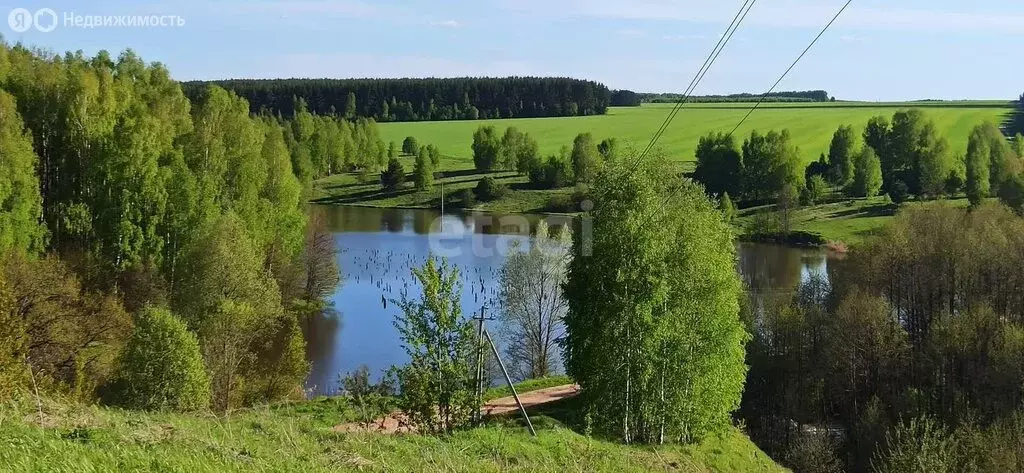 Участок в Нижегородская область, Богородский муниципальный округ, ... - Фото 0