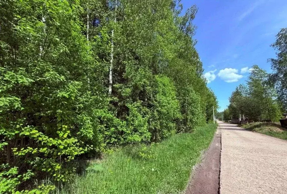 Участок в Московская область, Дмитровский муниципальный округ, ... - Фото 1