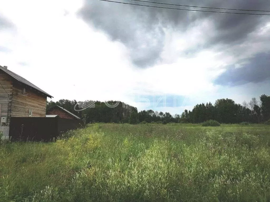 Участок в Слободо-Туринский район, Усть-Ницинское сельское поселение, ... - Фото 2