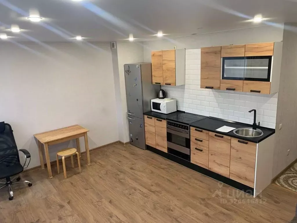 Студия Калужская область, Совхоз Боровский с/пос, д. Кабицыно ул. ... - Фото 1