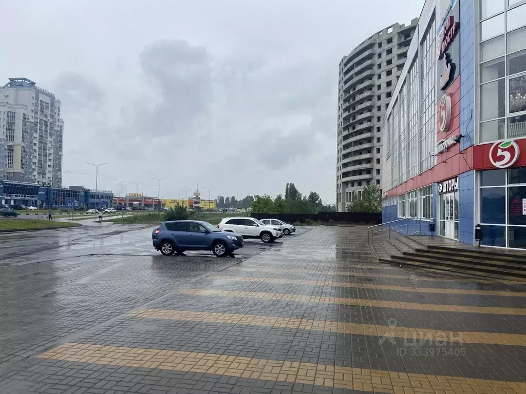 Помещение свободного назначения в Липецкая область, Липецк ул. 50 лет ... - Фото 1