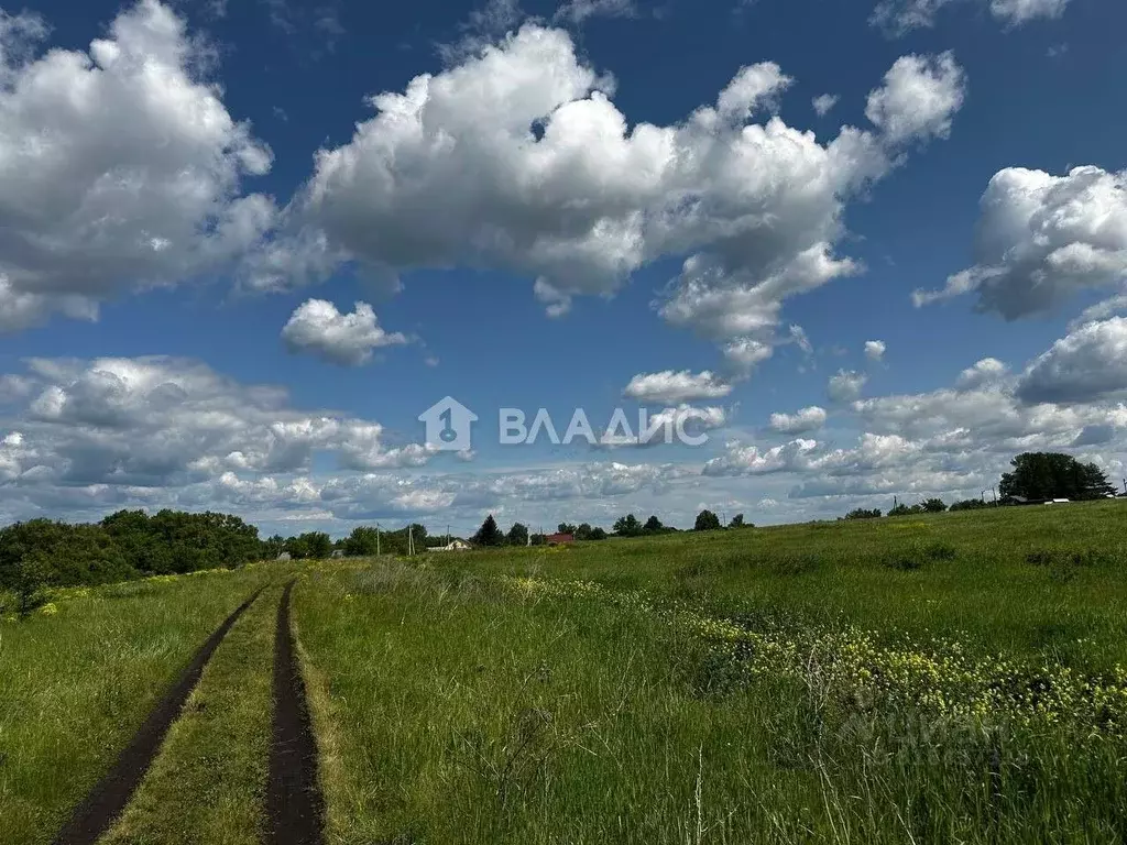 Участок в Пензенская область, Бессоновский район, с. Грабово Колхозная ... - Фото 1