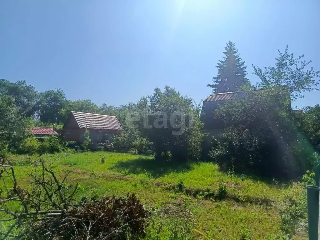 Участок в Саратовская область, Энгельсский район, Красноярское ... - Фото 1