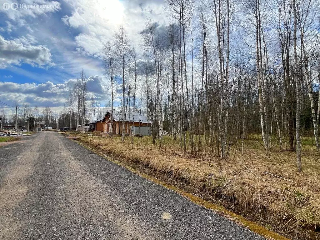 Участок в Колтушское городское поселение, территория Березовка ДНП, ... - Фото 2