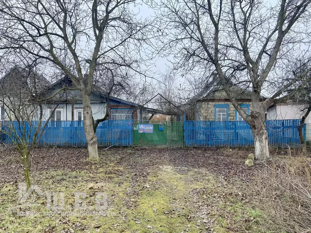 Дом 42,8 м на участке 33 сот. - Фото 1