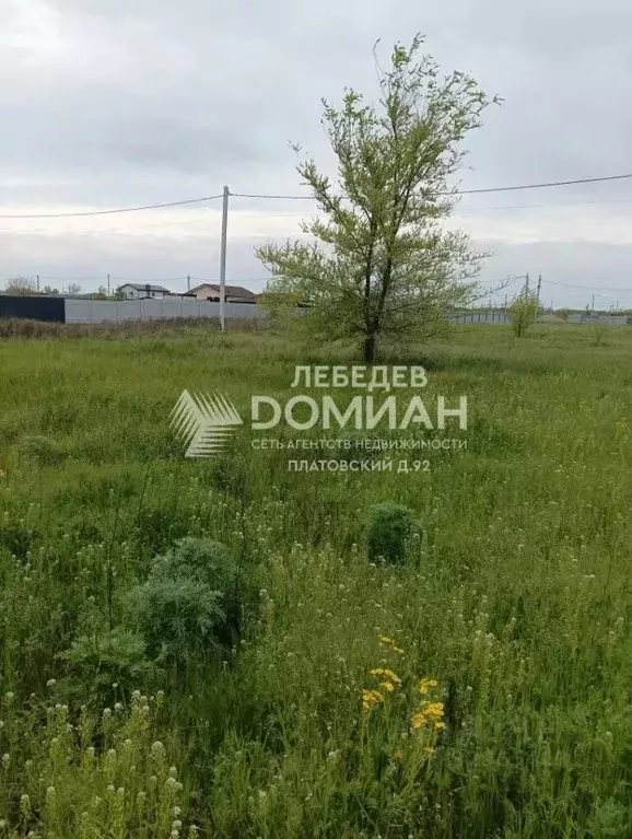 Участок в Ростовская область, Багаевское с/пос, Орион СНП 4683 (6.0 ... - Фото 2
