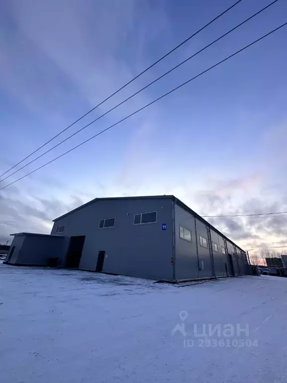 Помещение свободного назначения в Ленинградская область, Всеволожский ... - Фото 1