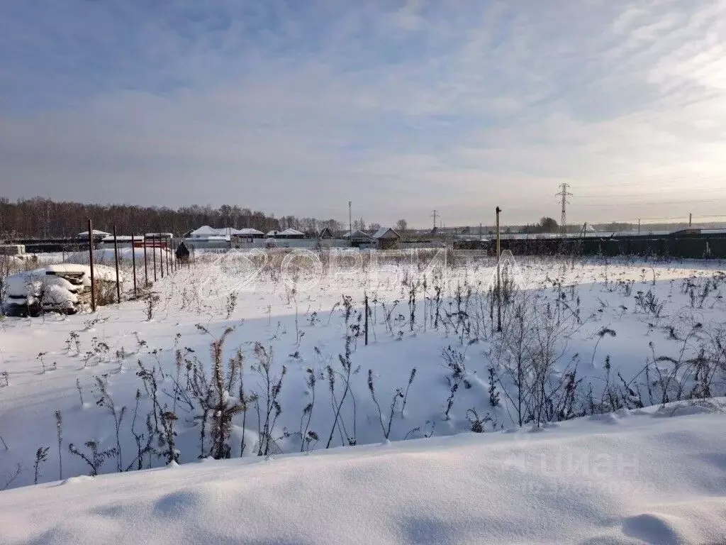 Участок в Тюменская область, Тюменский муниципальный округ, д. Елань, ... - Фото 2