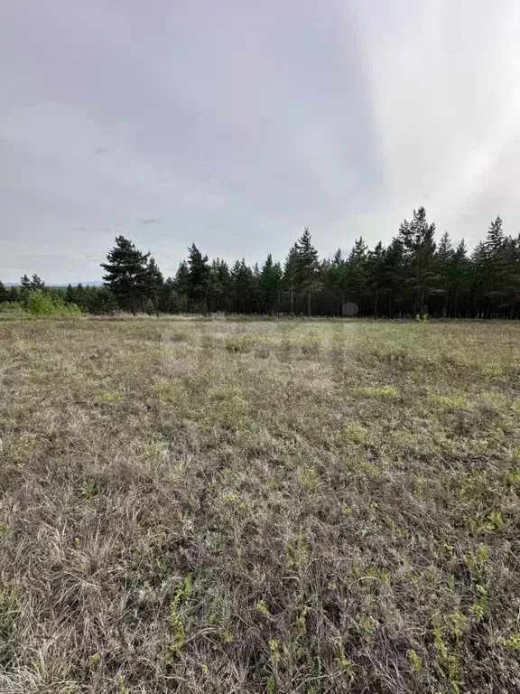 Участок в Бурятия, Улан-Удэ ул. Камышовая, 13 (8.0 сот.) - Фото 1