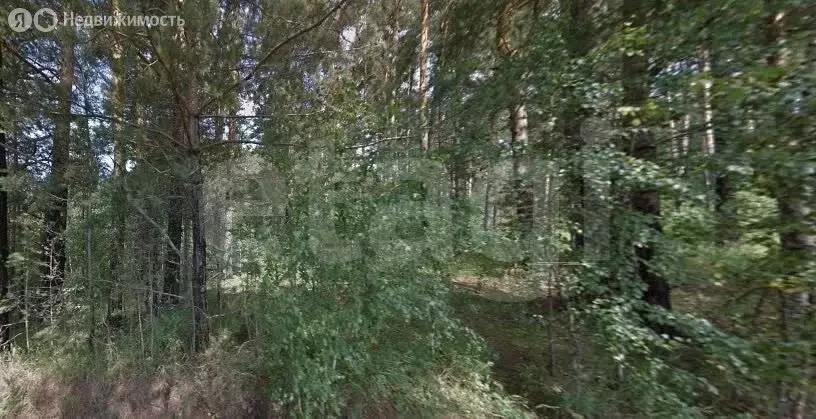 Участок в Челябинская область, Златоуст (8.27 м) - Фото 1