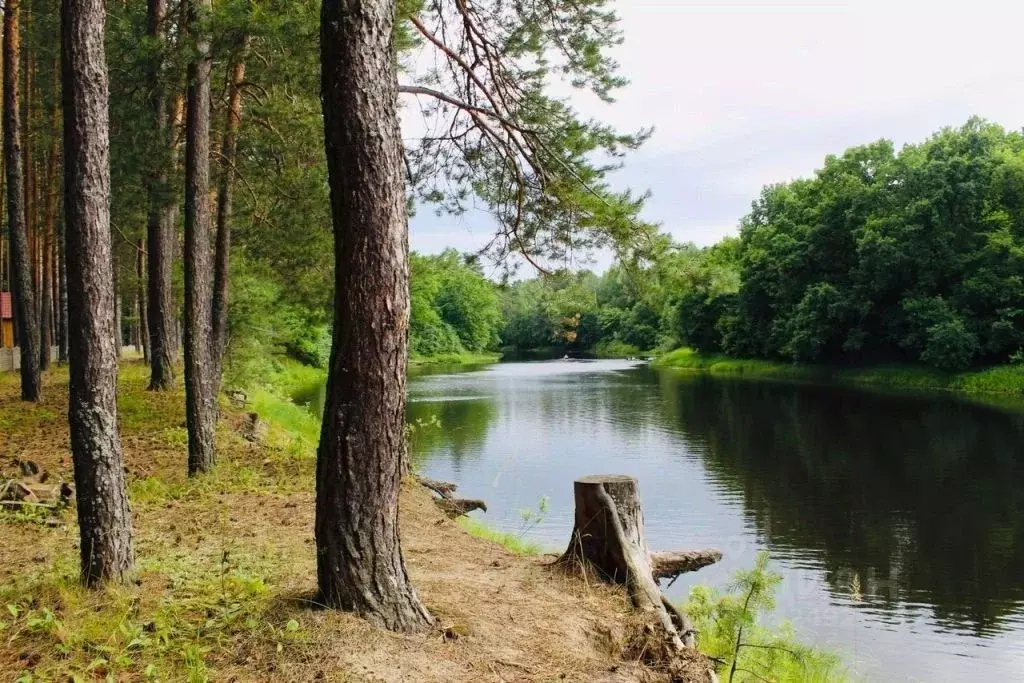 Участок в Нижегородская область, Семеновский муниципальный округ, д. ... - Фото 2