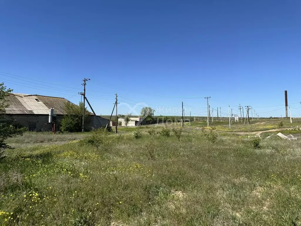 Участок в Волгоградская область, Городищенский район, Орловское с/пос, ... - Фото 0