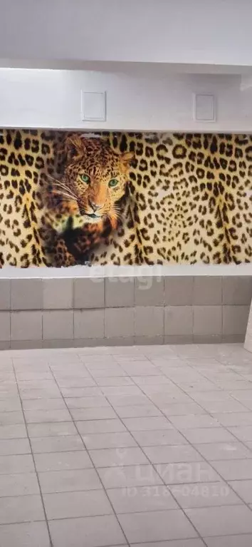 Торговая площадь в Башкортостан, Уфа ул. Георгия Мушникова, 28 (182 м) - Фото 2