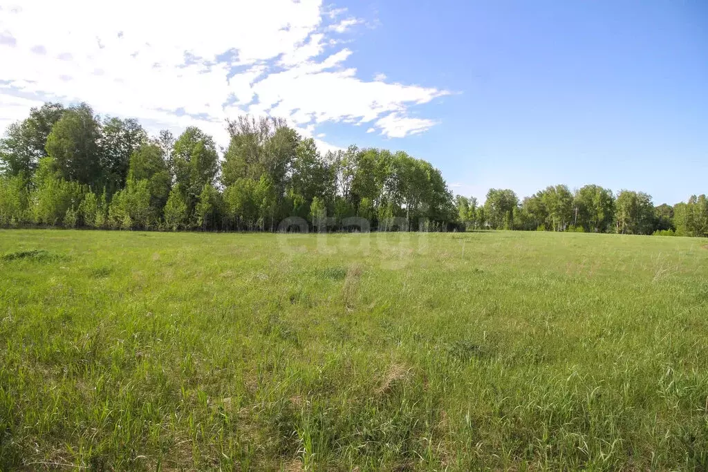 Участок в Фирсово, микрорайон Полесье (10.83 м) - Фото 1