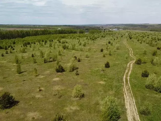 Участок в Татарстан, Зеленодольский район, Большеякинское с/пос, с. ... - Фото 2