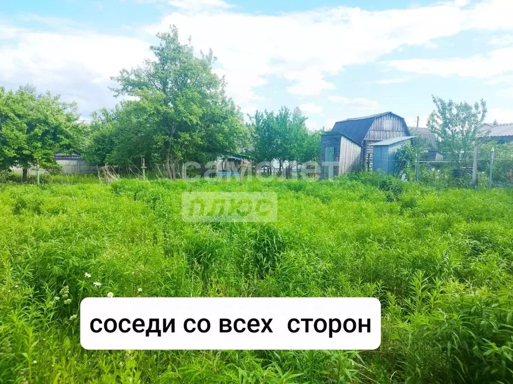 Дом в Брянская область, Брянский район, Снежское с/пос, с. Толмачево, ... - Фото 1
