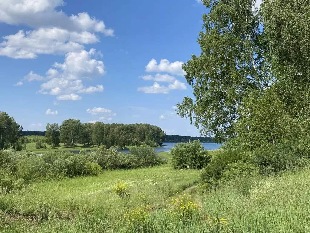 Участок в Новосибирская область, Мошковский район, пос. Октябрьский, ... - Фото 2