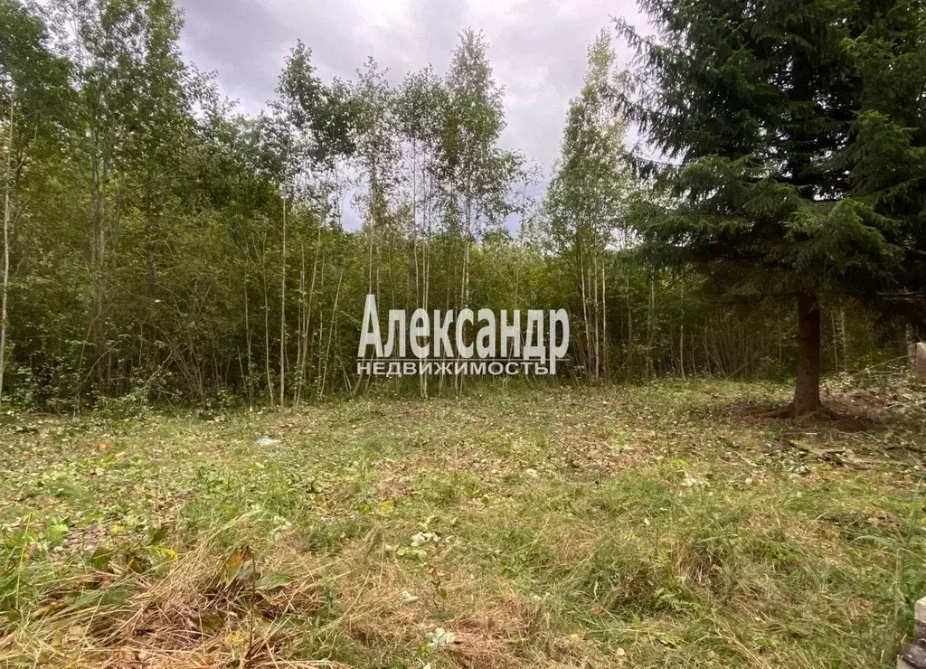 Участок в Ленинградская область, Тосненский район, Трубникоборское ... - Фото 1
