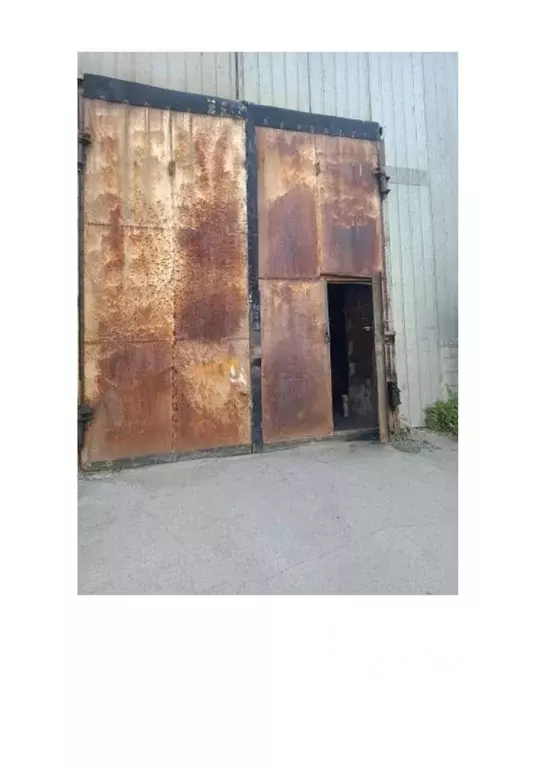 Помещение свободного назначения в Новосибирская область, Новосибирский ... - Фото 2